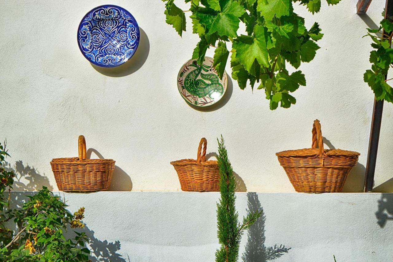 La Vieja Parra ξενώνας La Puerta de Segura Εξωτερικό φωτογραφία