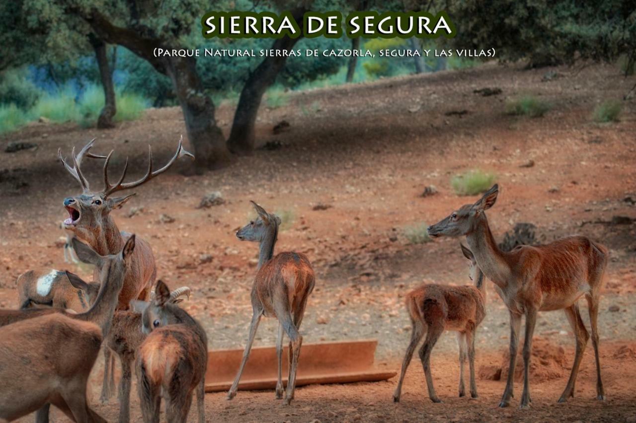 La Vieja Parra ξενώνας La Puerta de Segura Εξωτερικό φωτογραφία